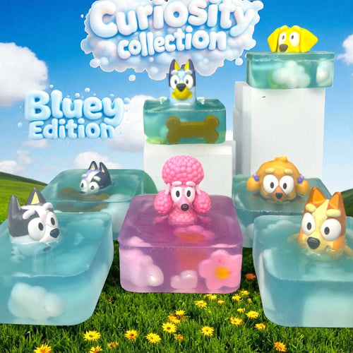 Bluey Edition